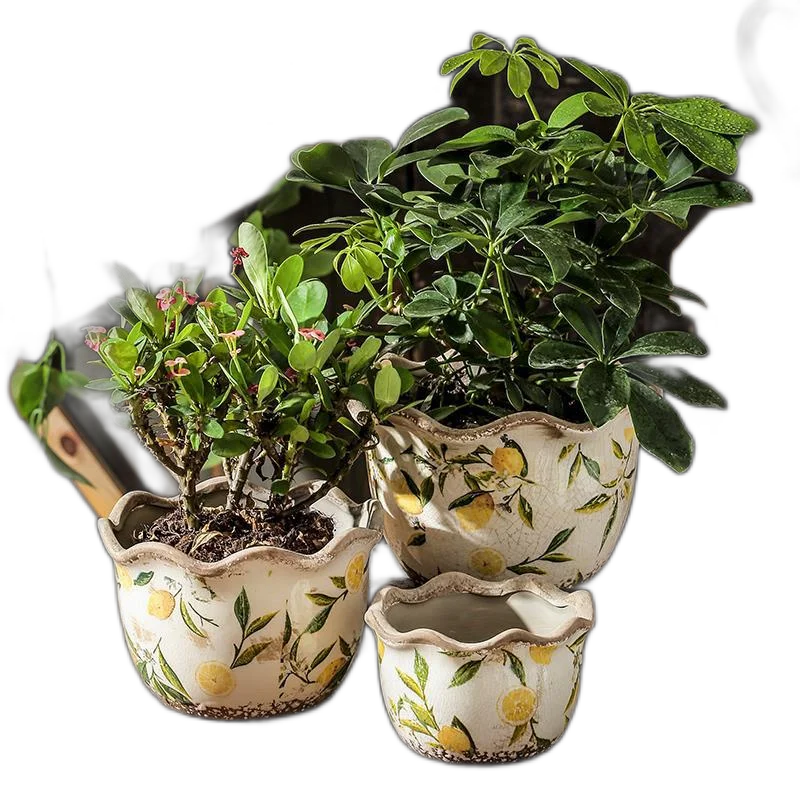 Lemon Flower -Type Creative European Retro Decoration Multi -Meat Pot Ceramic Outdoor Courtyard Home Living Room Home Use Antique Lemon Wave Mouth Flowerpot Medium Drain Hole-Ceramic
