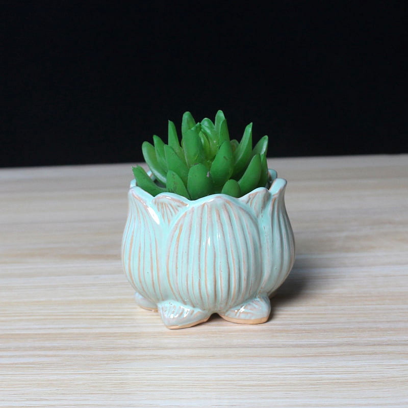 LivNxt Ceramic Succulent Planter - Breathable Coarse Pottery Garden Pot with Drainage Holes