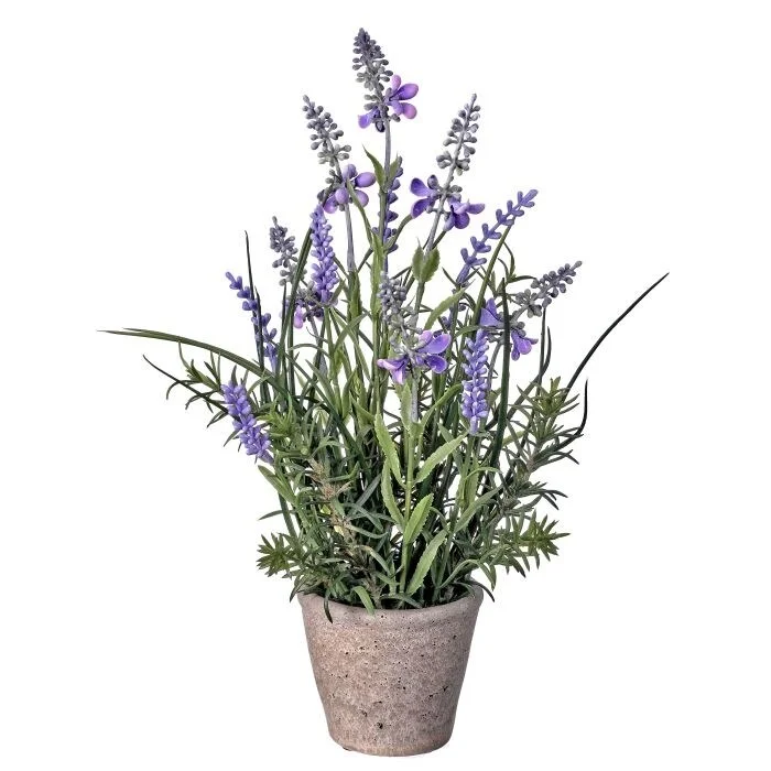 Plastic  Lavender In Cement Pot 12