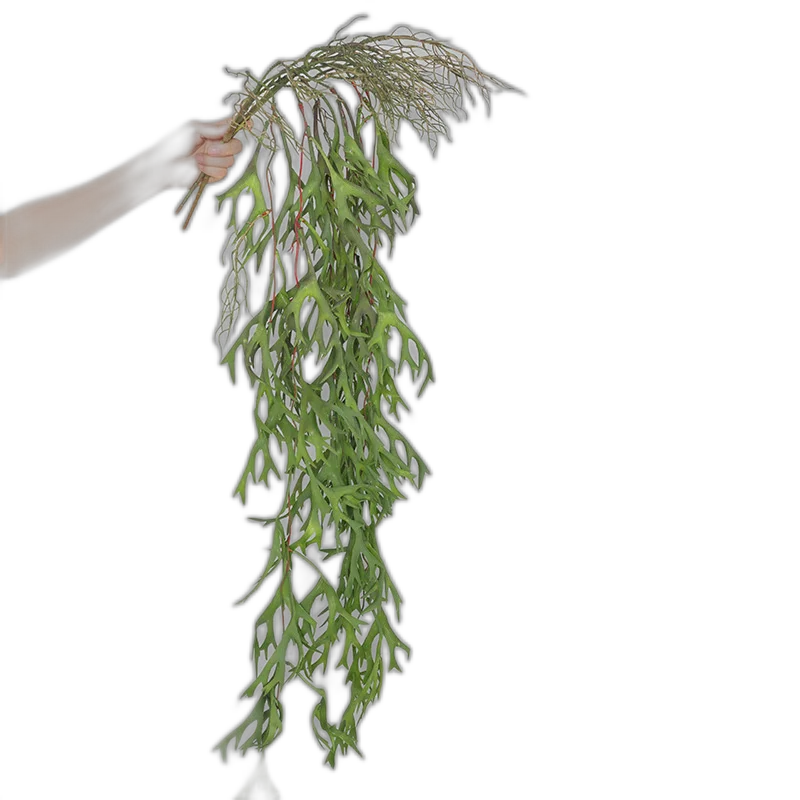 Mori wedding hall layout of simulation plastic green plant wall hanging fern leaf indoor simulation plant wall decorative antlers leaves