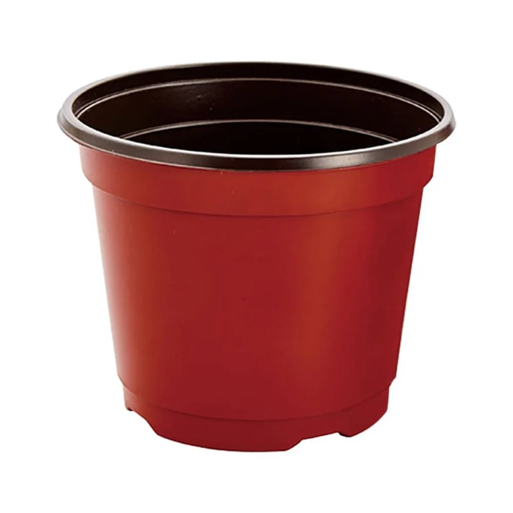 6 in. Plant Pots Small Plastic Plants Nursery Pot/Pots Seedlings Flower Plant Container (20-Pack)