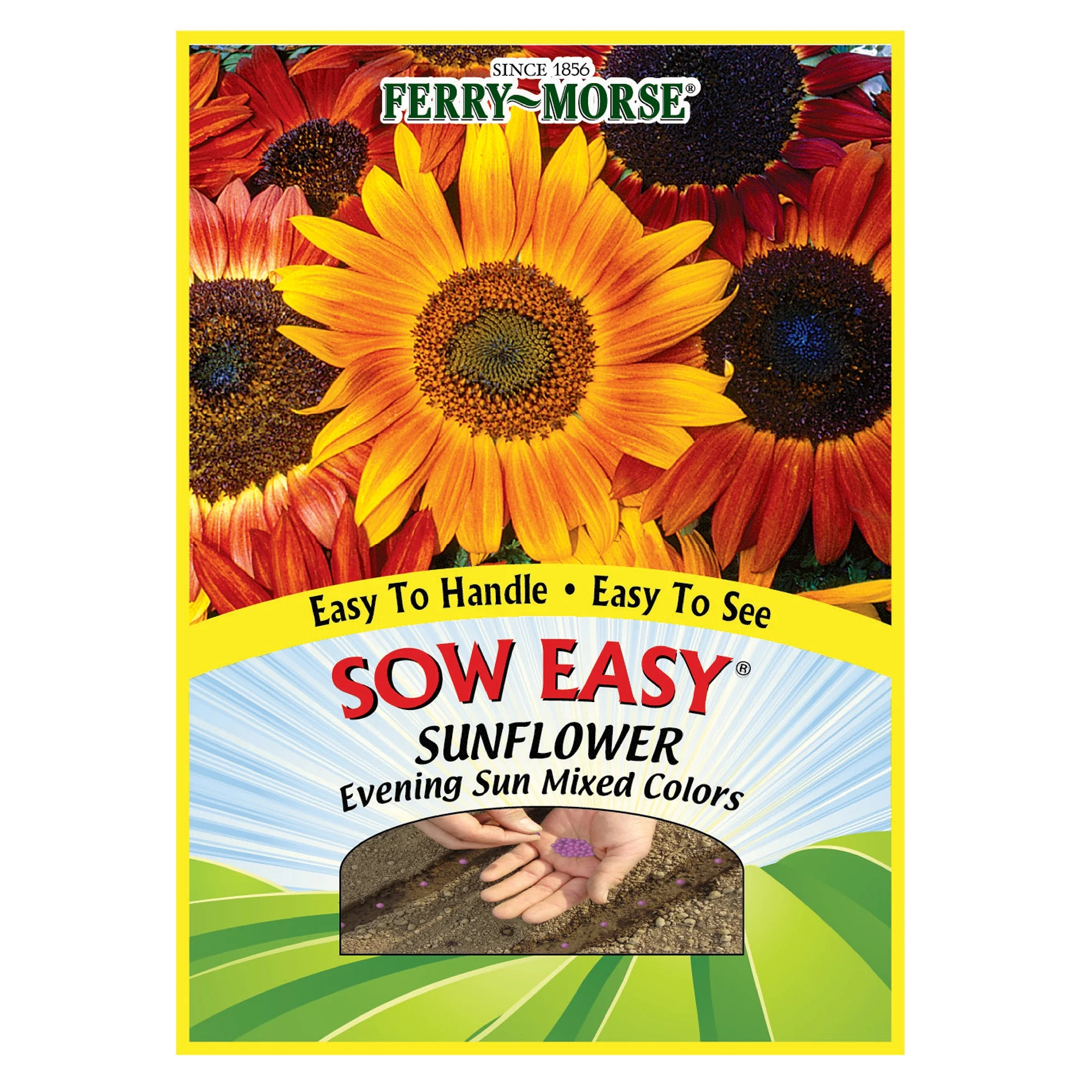 Ferry-Morse Sow Easy 40PCS Sunflower Evening Sun Annual Flower Seeds Full Sun