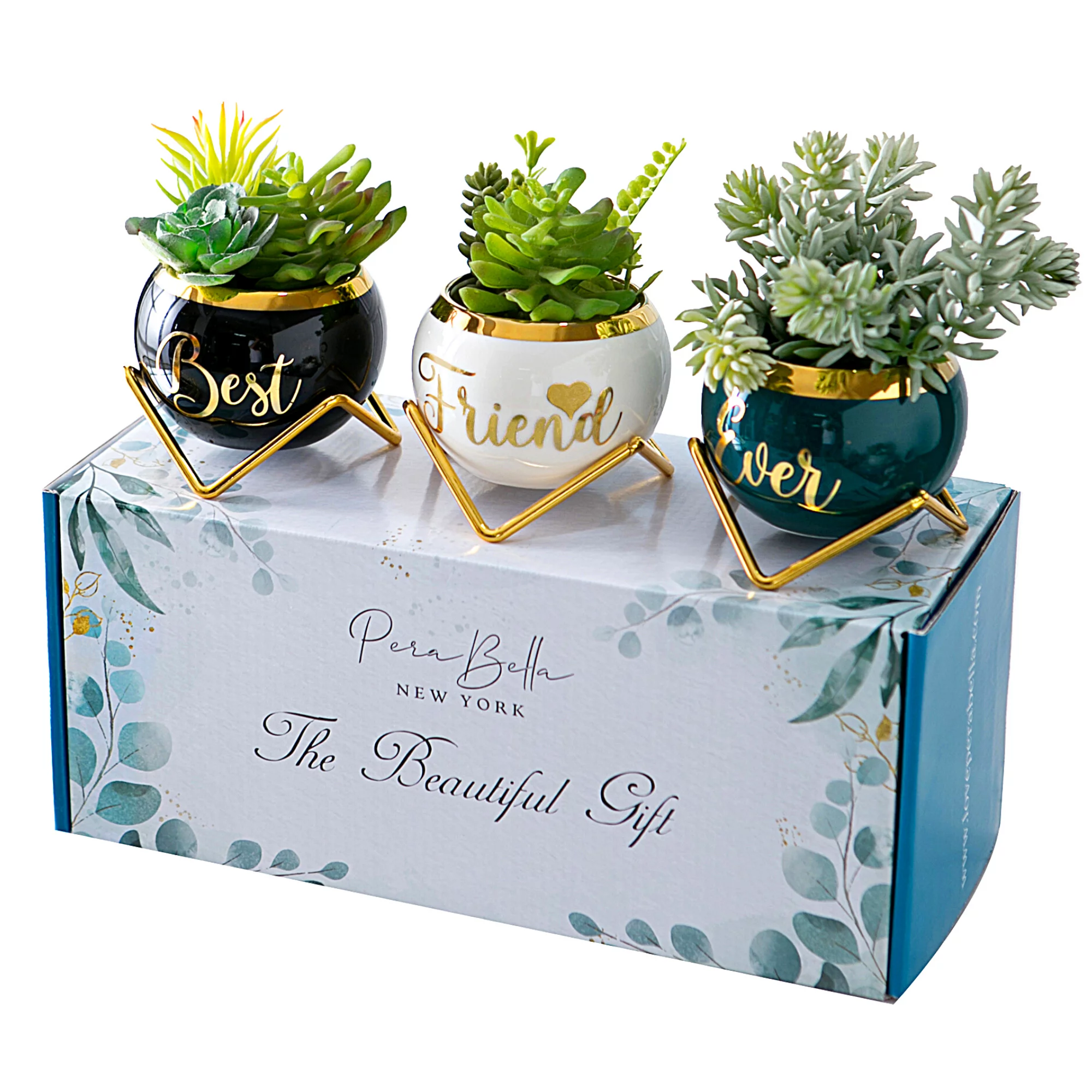 Perabella Best Friend Birthday Gifts for Women, Gifts for Best Friends Women,3 Pcs Succulent Pots