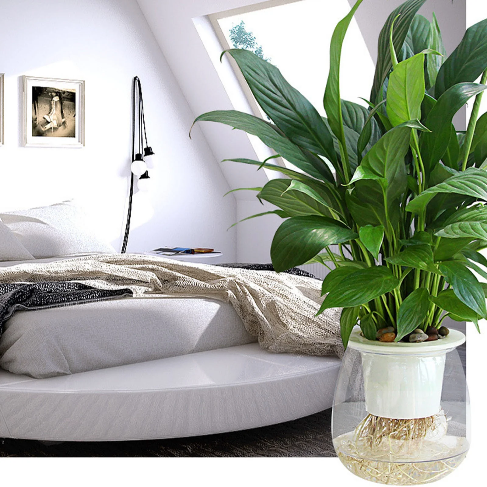 DYWADE Fourth of July Self Watering Planter Violet Pots Clear Plastic Automatic Watering Planter Flower Pot Pot for All House A One Size