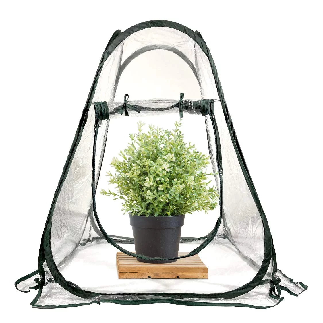 Pratico Outdoors Mini Pop Up Greenhouse with Clear PVC Cover, 31 x 28 x 28 inches