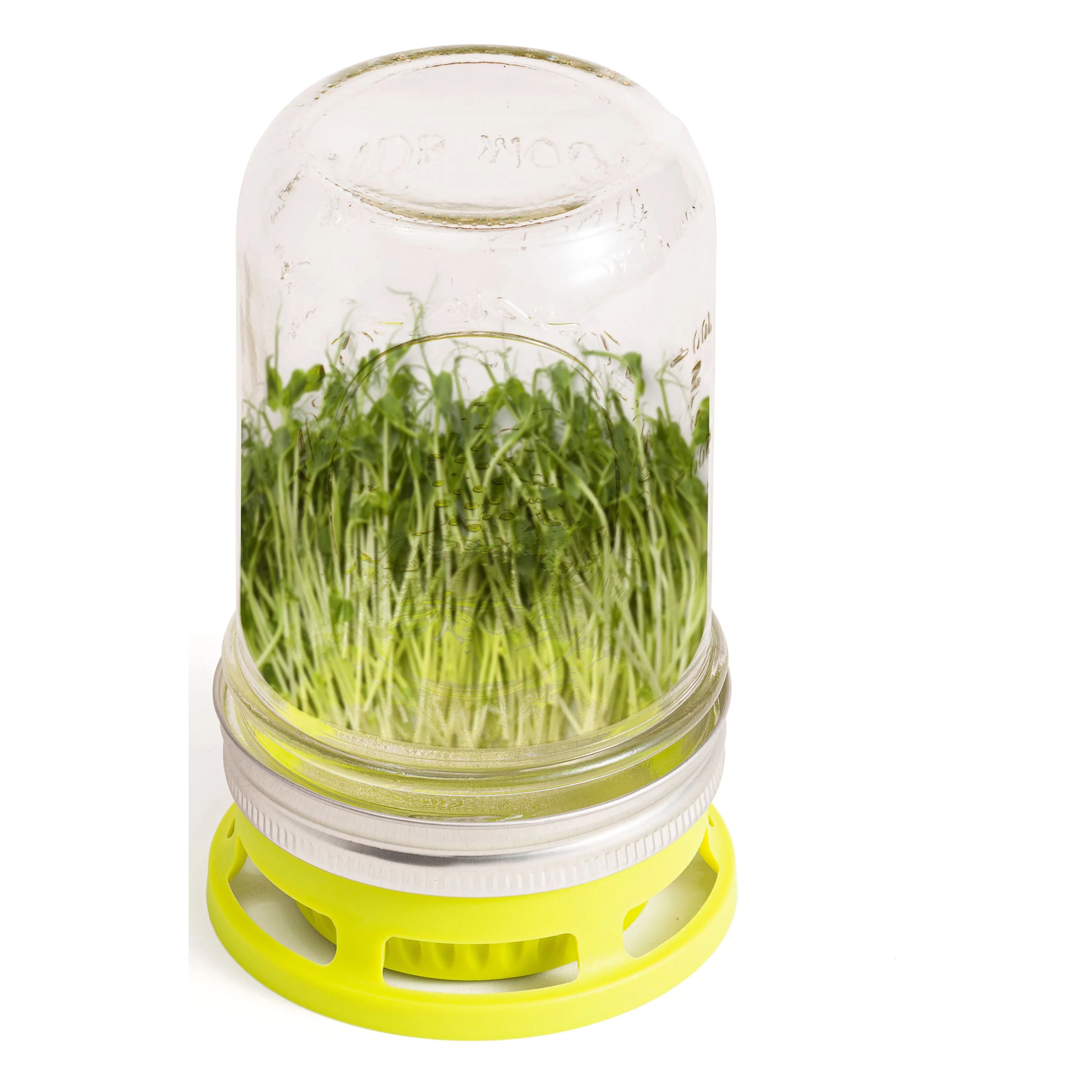 Jarware Seed Sprouter Set of 2