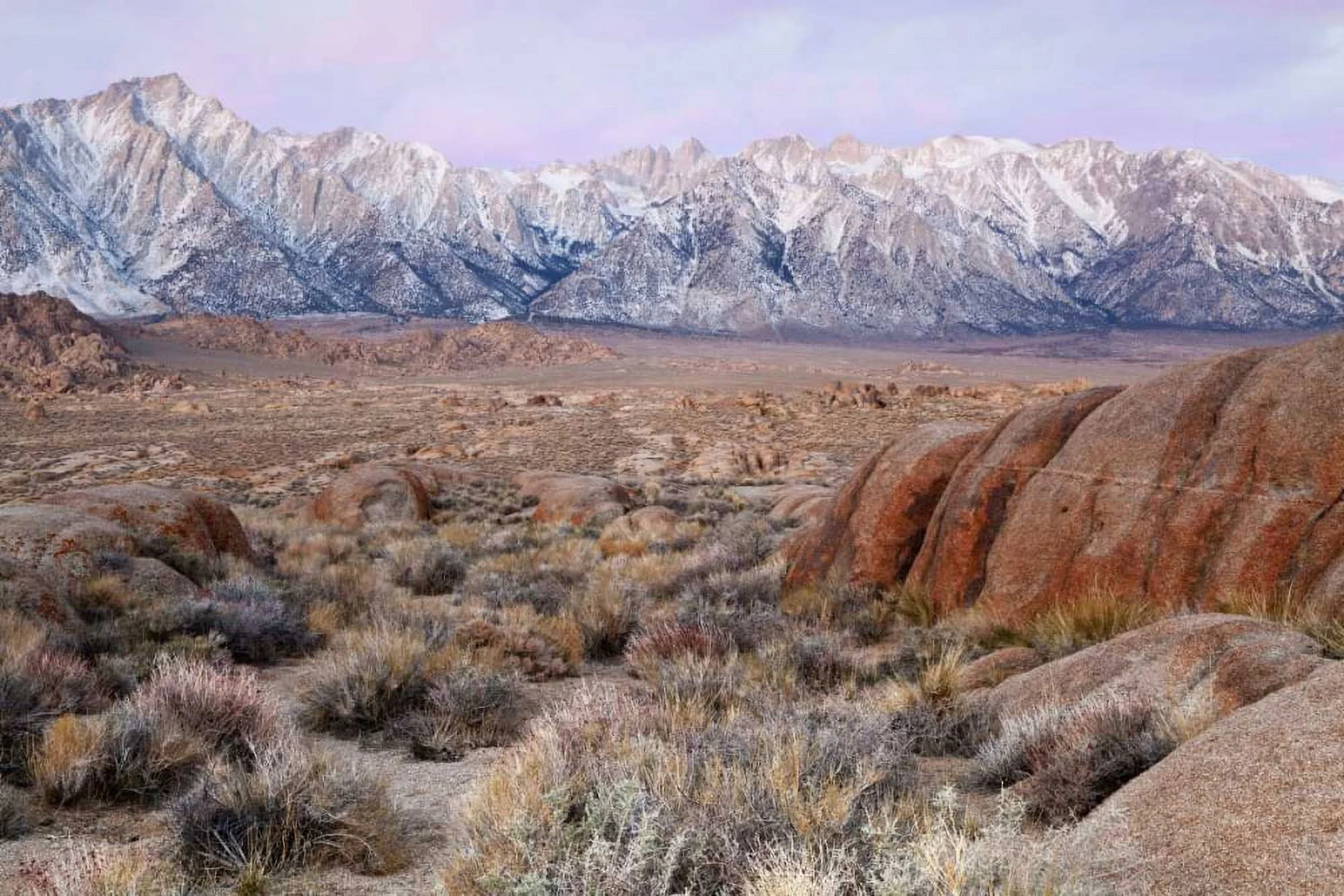 Paulson, Don 32x23 Black Ornate Wood Framed with Double Matting Museum Art Print Titled - California Lone Pine Peak and Mt Whitney