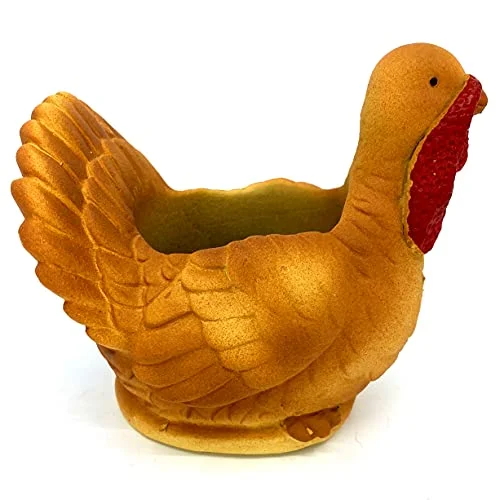 Turkey Succulant Planter Pot - Small Brown Small 4inch