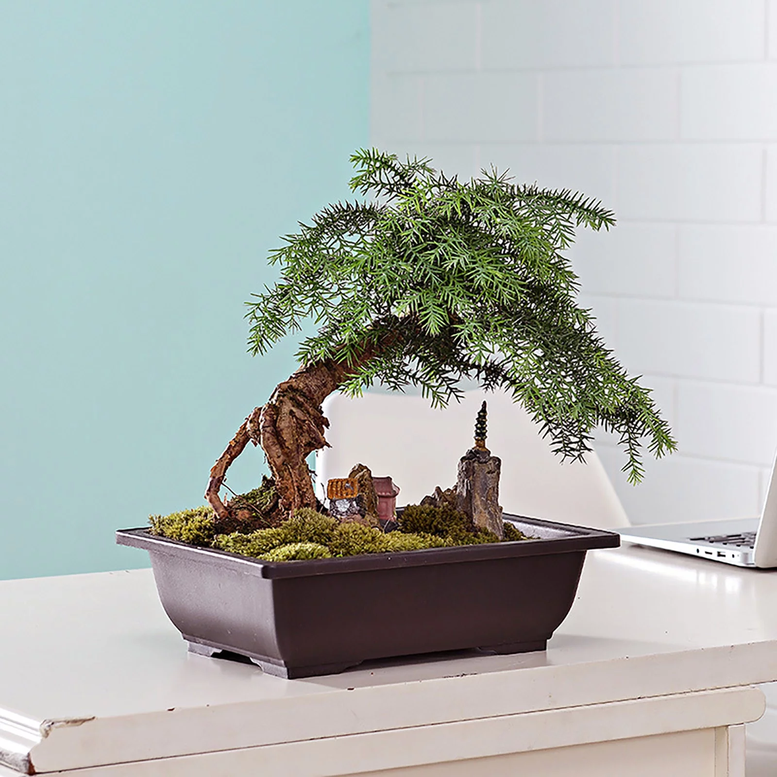 ZiSUGP Rectangular Imitation Purple Sand Flower Pot Home Garden Small Potted Flower Pots Garden Tools