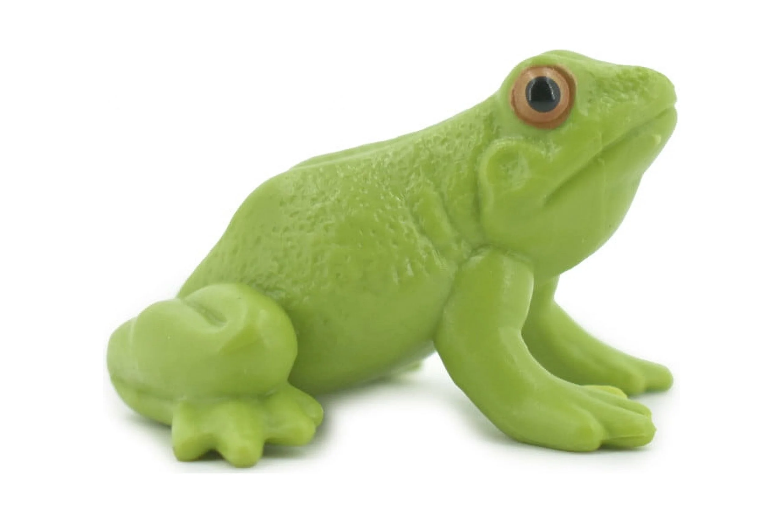 Frog, American Green Garden, Amphibians, Museum Quality, Hand Painted, Rubber, Educational, Realistic, Lifelike, Toy, Kids, Gift, 2 1/2