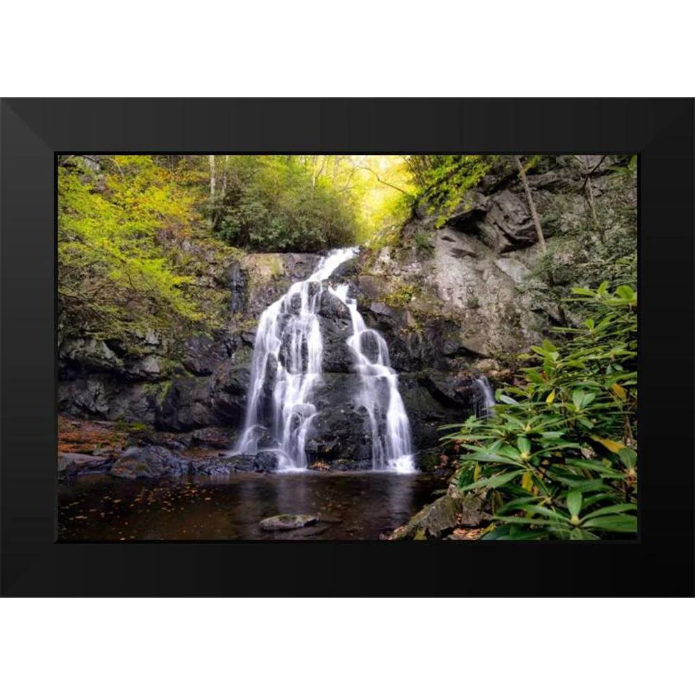 Head, Danny 14x11 Black Modern Framed Museum Art Print Titled - Spruce Flat Falls
