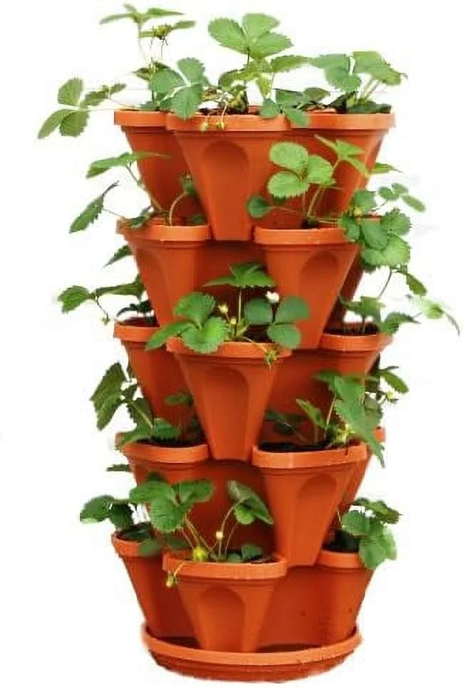 Planter, Terra Cotta