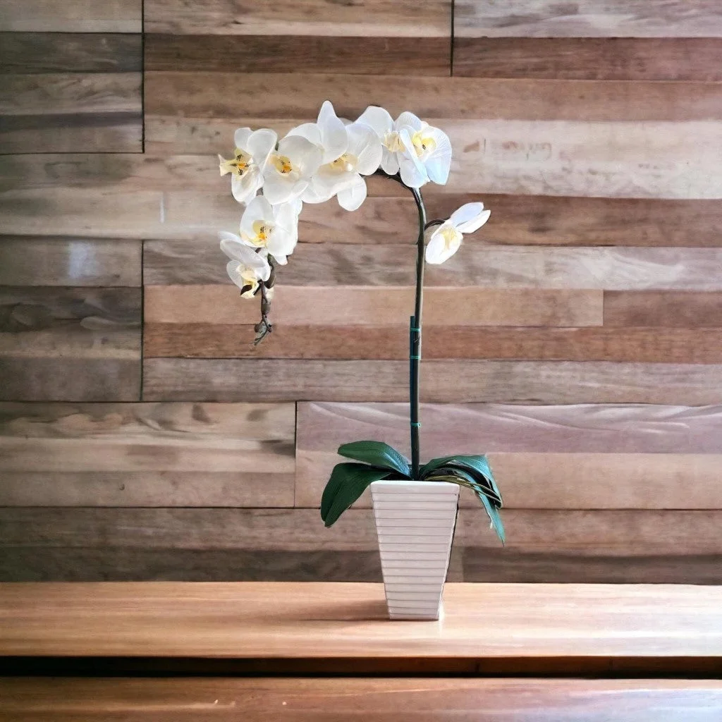 Pixies Gardens Stunning Artificial Orchids in Triangular Ceramic Pot White 2 Stem