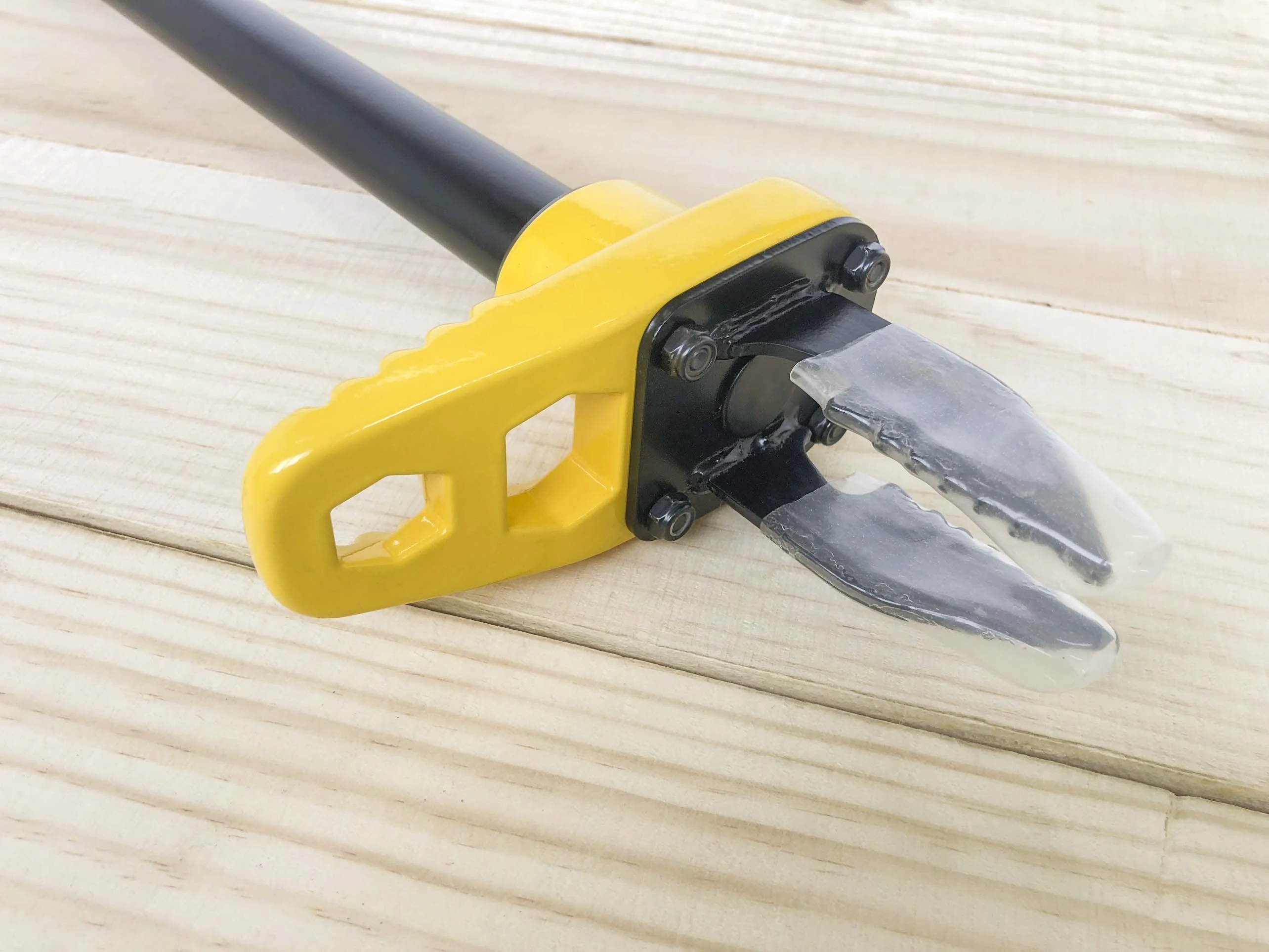 Expert Gardener   43