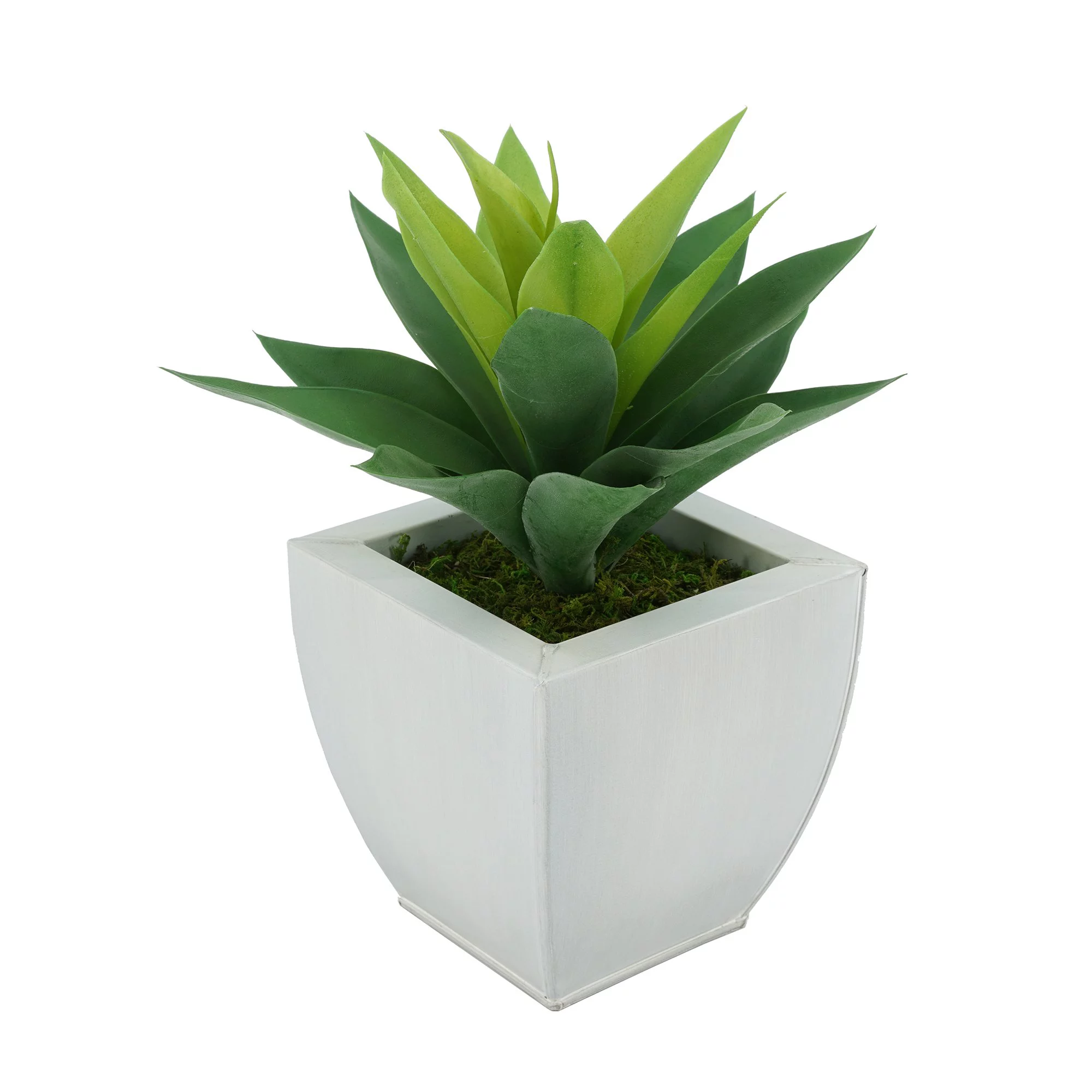 House of Silk Flowers Faux Frosted Light Green Succulent in Tapered Zinc Pot (Cream)