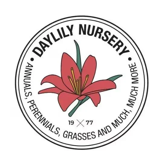 2 Jurassic Park Bearded Iris - Iris germanica. In 3.5 inch pots