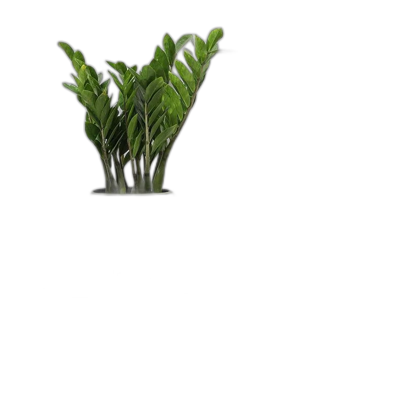 Simple Gradient Green Round -Shaped Ceramic Flower Pot With Pallet Breathable Ceramics Indoor Balcony Orchid Green Pimple Plants