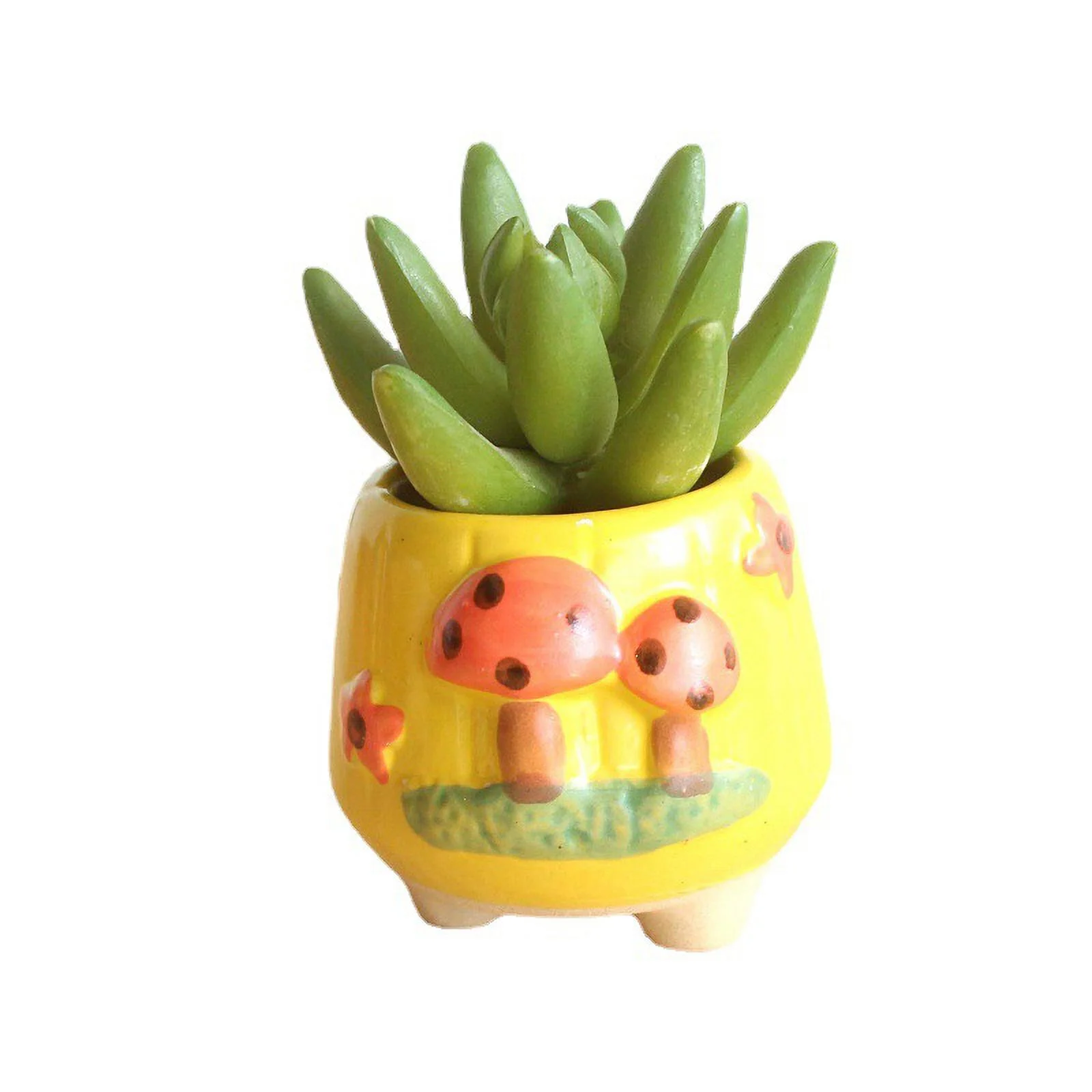 Ceramic Hand-painted Succulent Plant Pot, Thumb Pot, Small Succulent Flower Pot