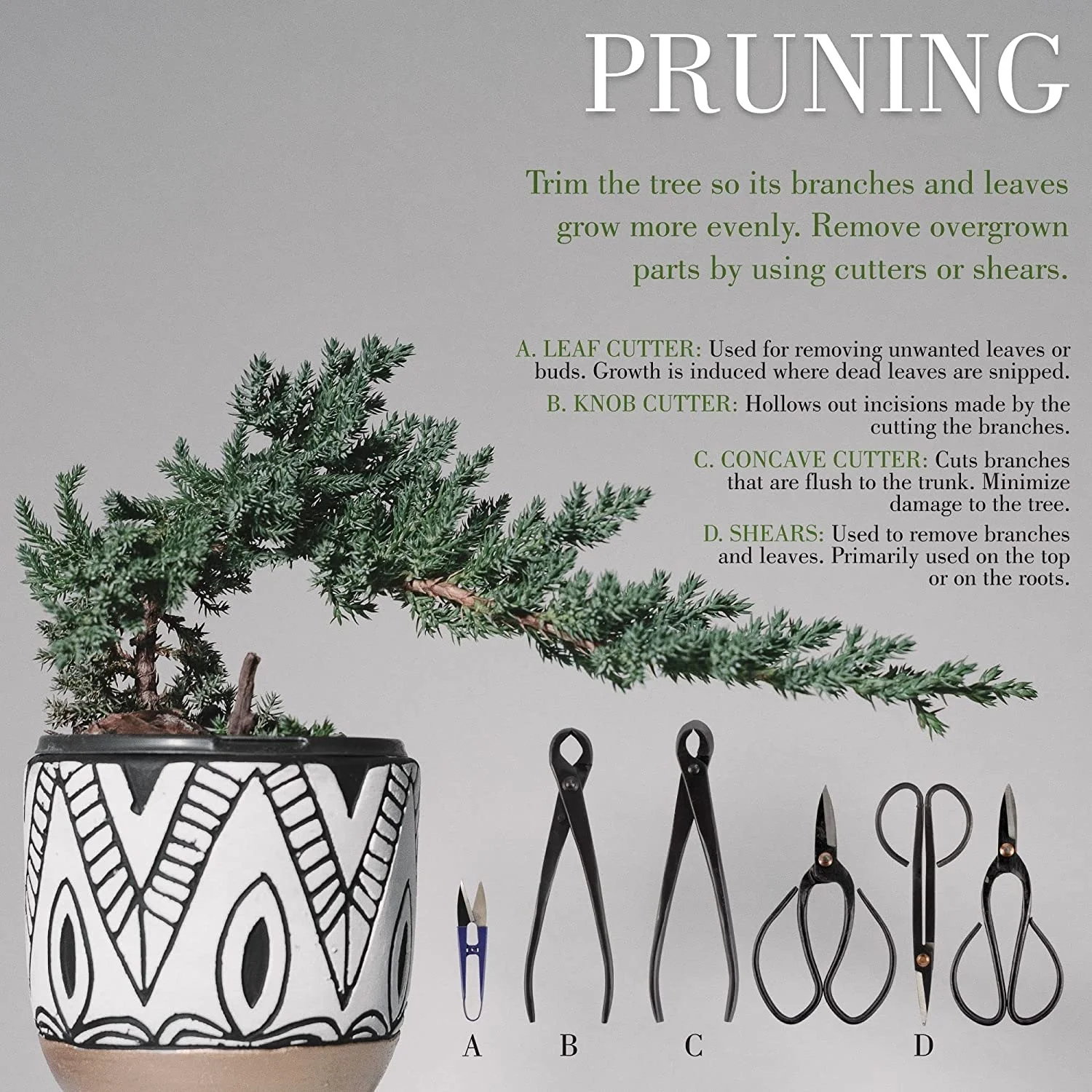 15 Piece Bonsai Master Tools Set with Case, Shears, Concave Cutter, Cutter, Wire Cutter, Bonsai Trimming, Branch Bending, Beginner Friendly - 1 Set