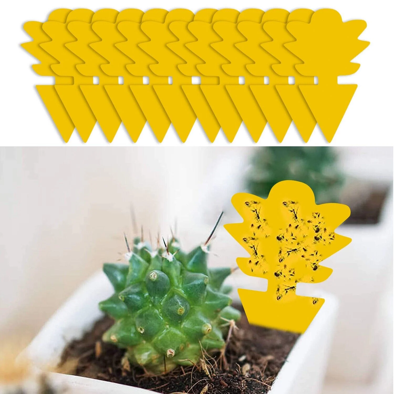 100x Garden Nursery Plastic Pots Flower Plant Container Seed With Label＆Fly Trap