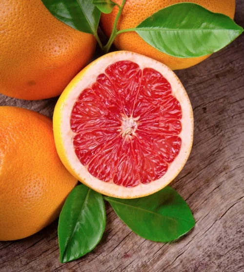 Grapefruit Puree with NATA DE COCO