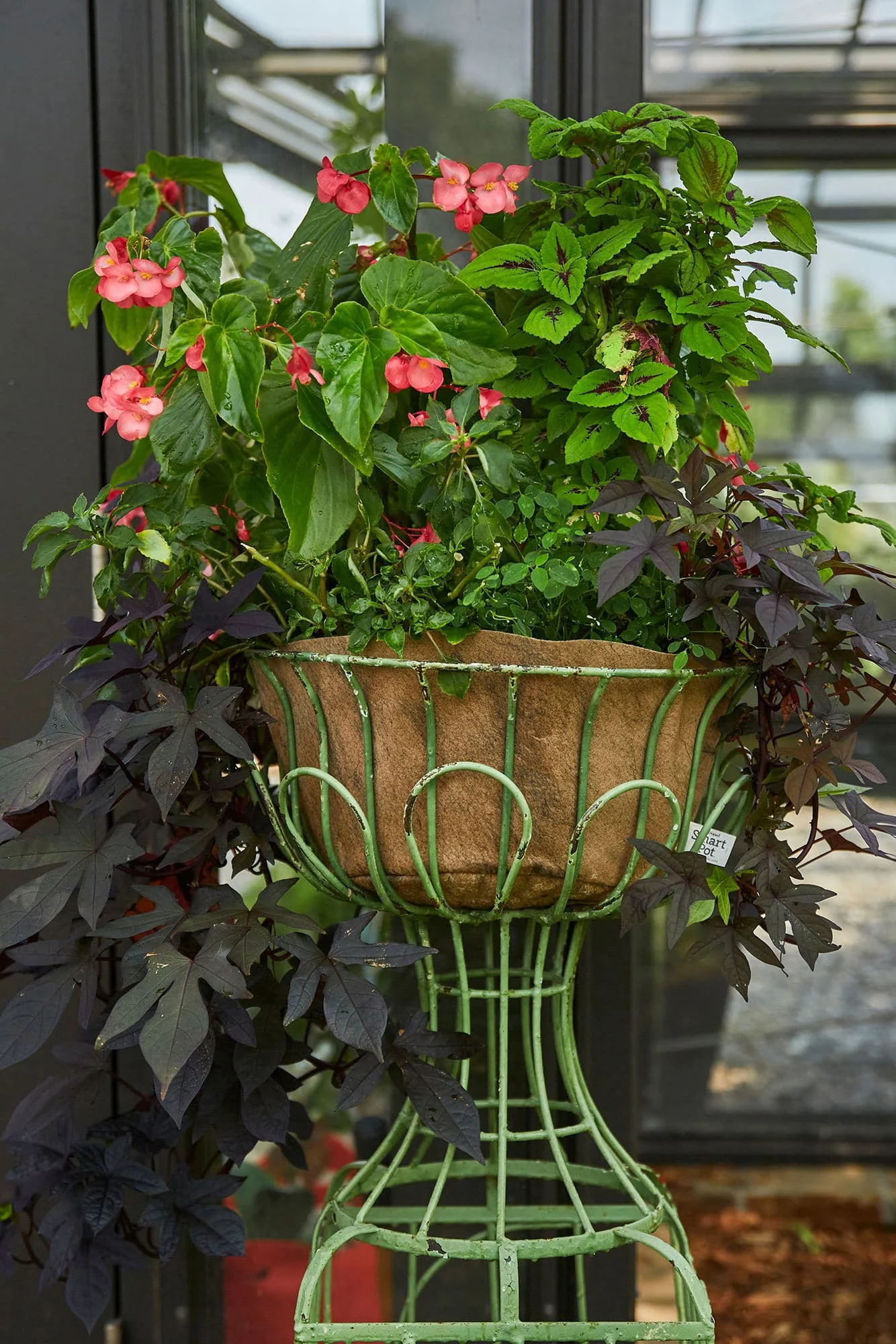 SMART POT NoCoco Liner 12