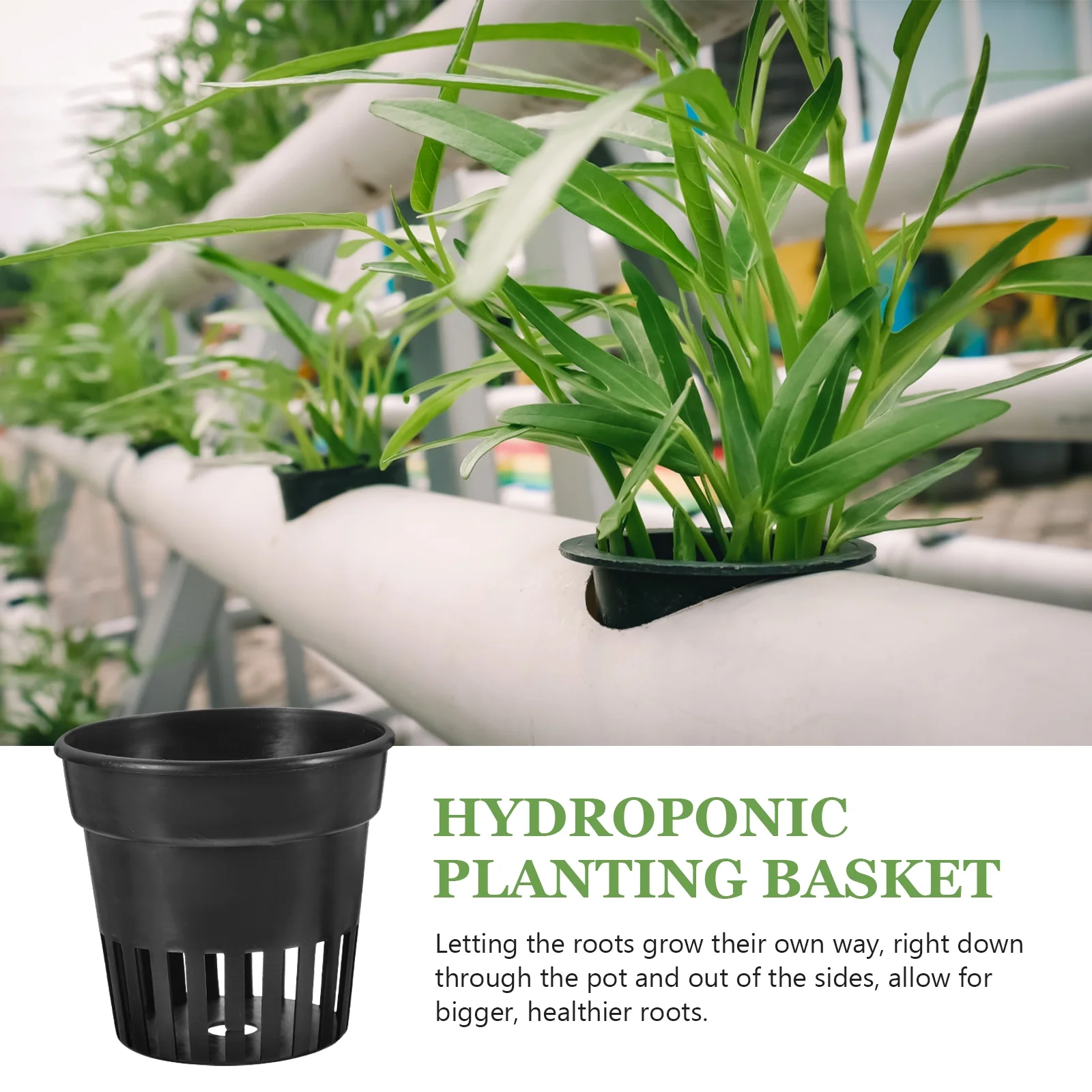 12 Pcs Aquatic Plant Garden Net Cups Pots Plants Nursery Flowers 12pcs