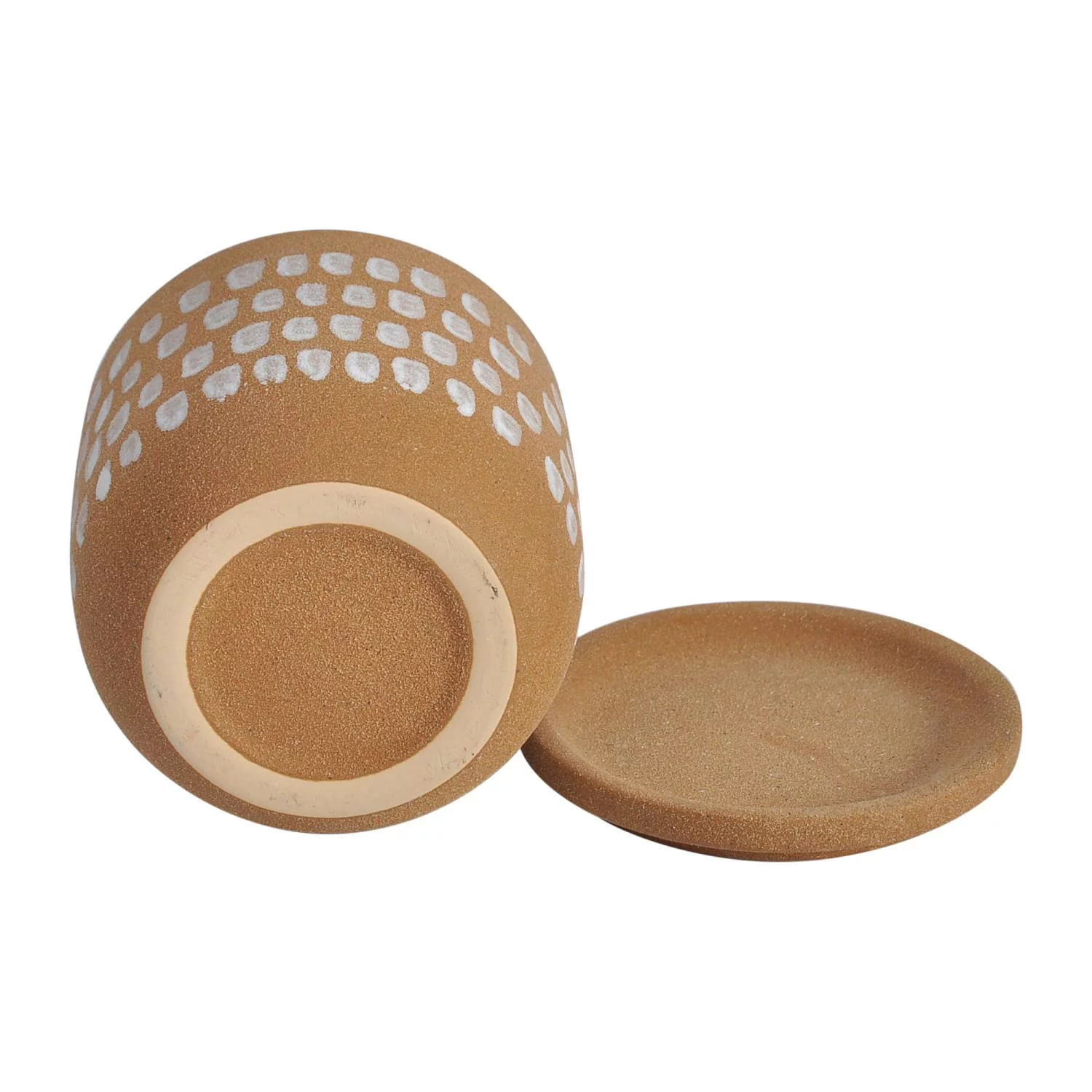 Moe's Home Collection Botanical Planter 5.75In Natural