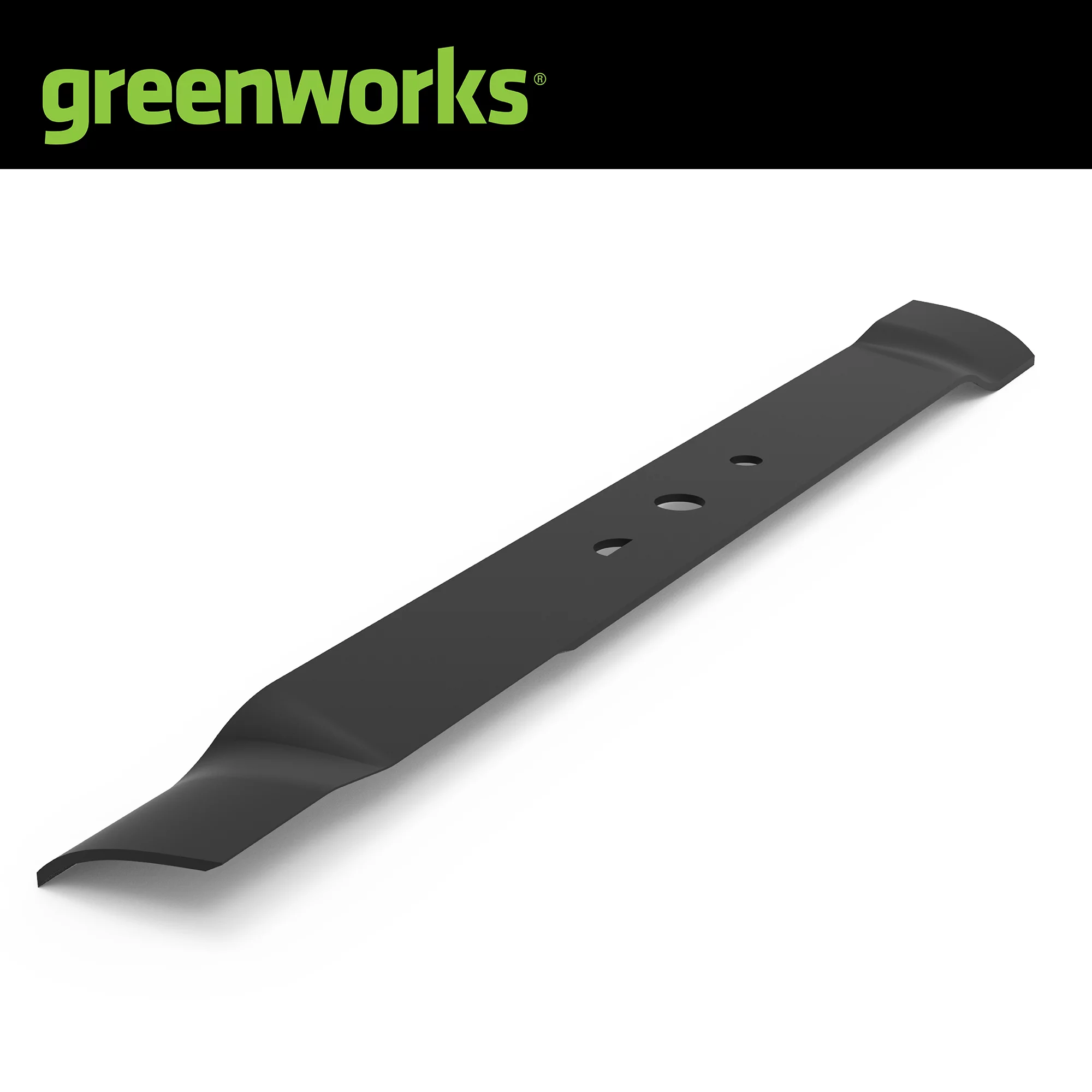 Greenworks 21