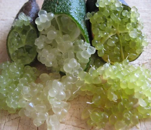 Finger Limes Citrus Caviar (80 Grams)