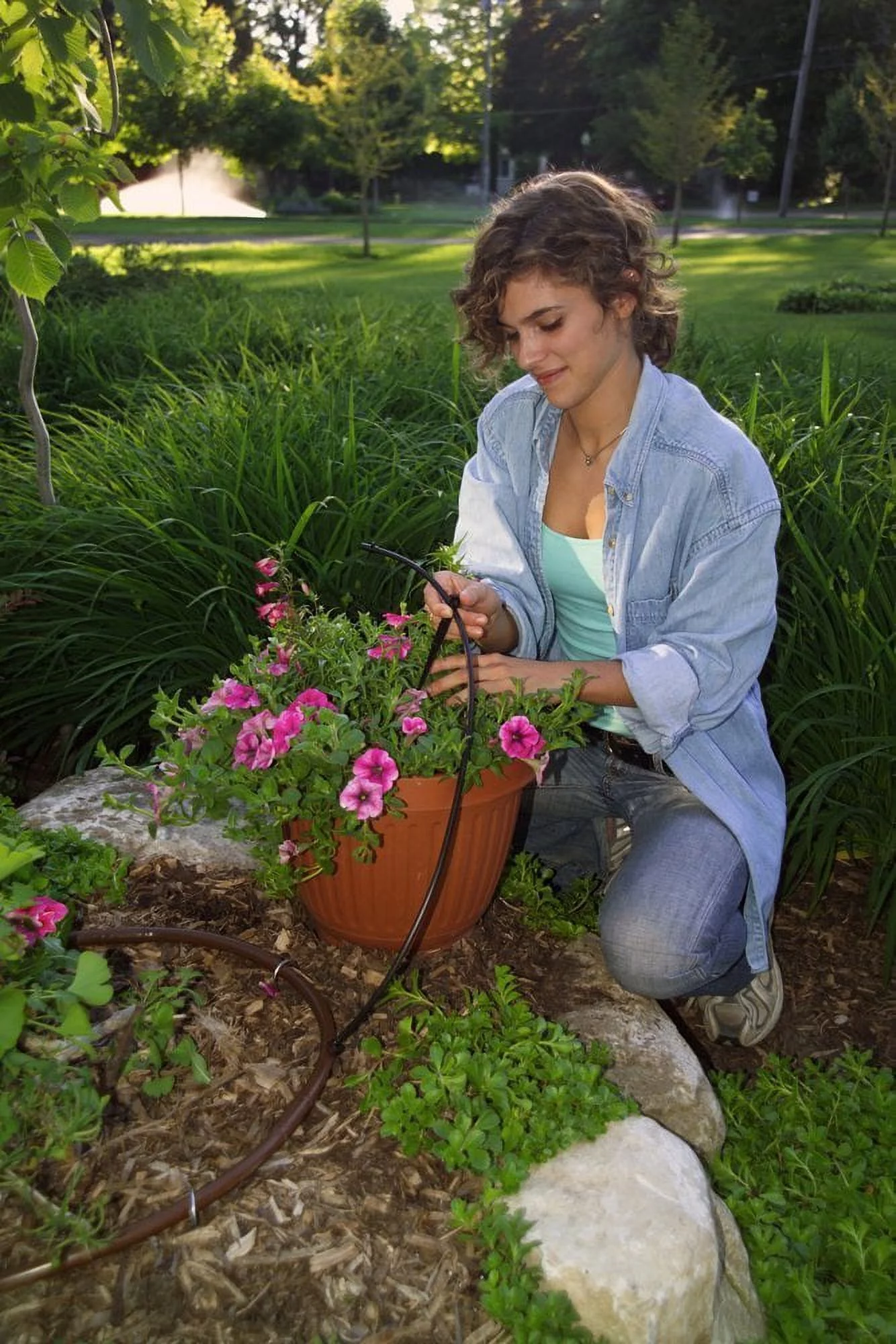 T22-50S Drip Watering Tubing, 50' Roll Rain Bird