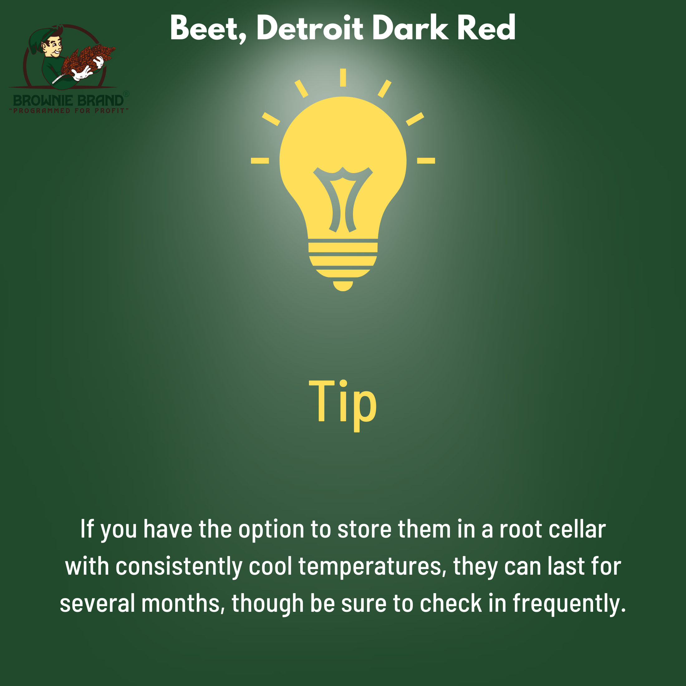 Browning Seed Beet Detroit Dark Red, Packet