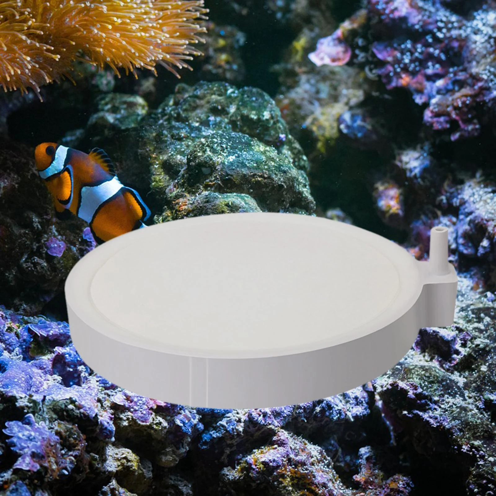 TOOYFUL Aquarium Air Stones Tank Oxygens Stone Multifunctional Quiet Dissolving Oxygens Tank Bubbler Pond Hydroponic 20cm