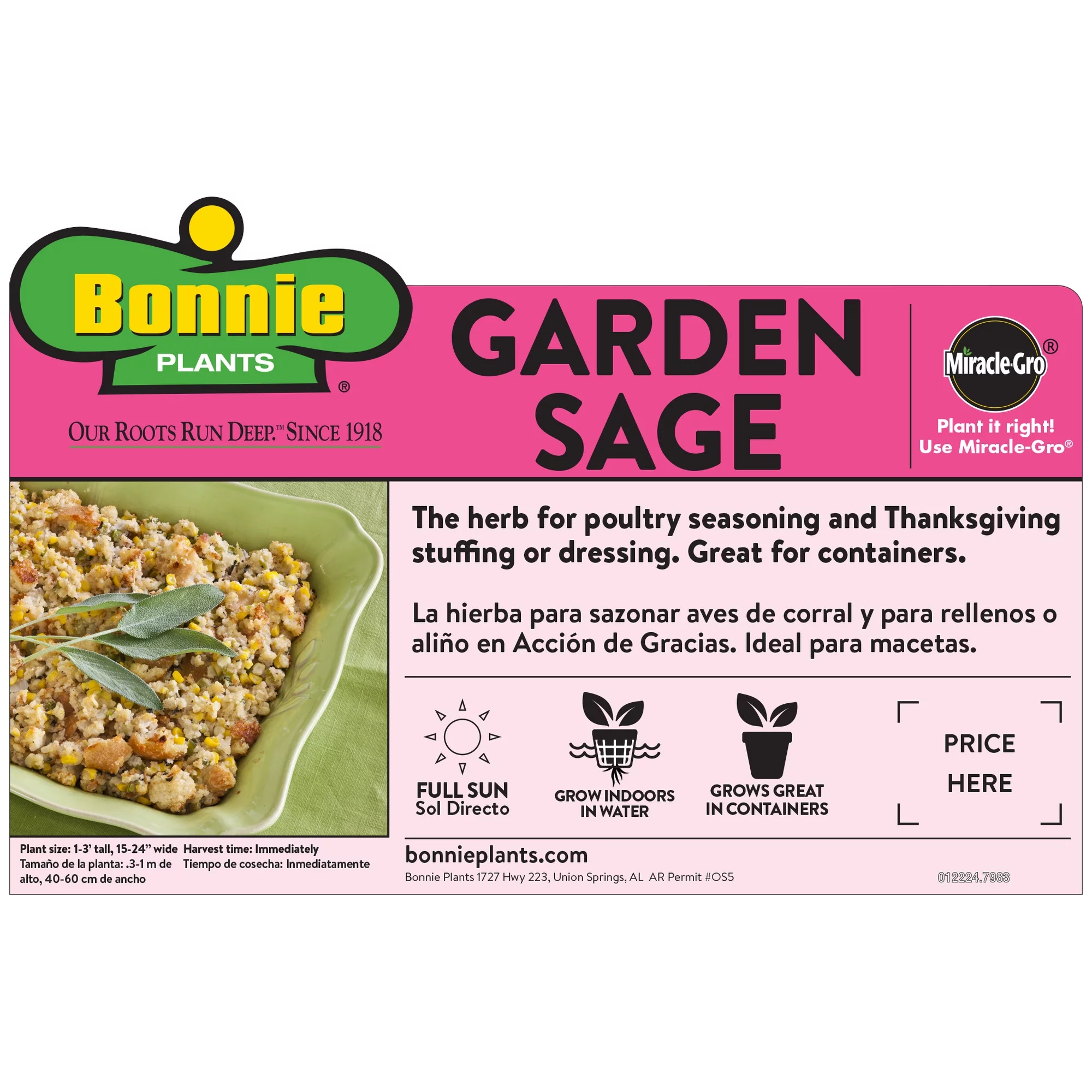 Bonnie Plants Garden Sage 2.32 qt.