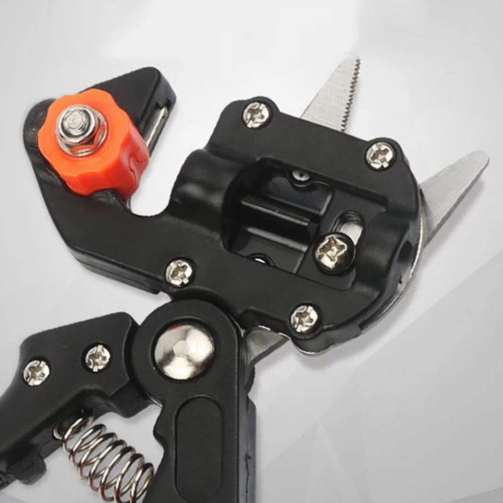 Professional Graft Cutting Tool Pruning Tree And Tools