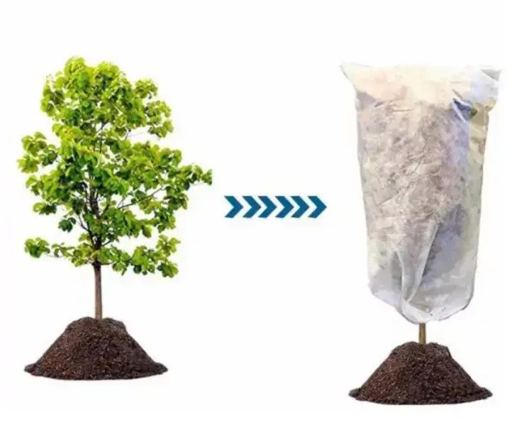 1.5 oz. 39 in. W x H 39 in. Plant Cover Plant Protection Cover for Protection from Small Insects and Season Extension