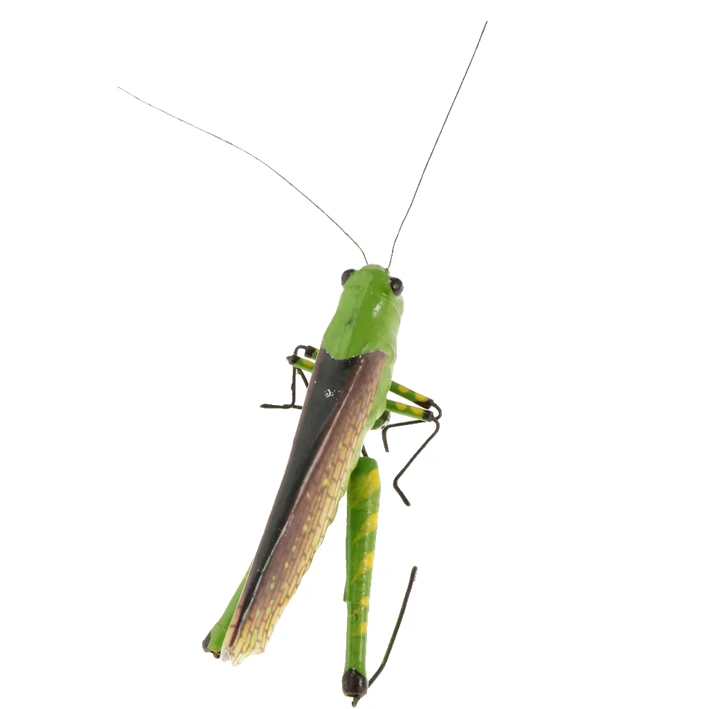 5pcs Mini Bug Animal Figures Toys Joke Trick Toy - Locust