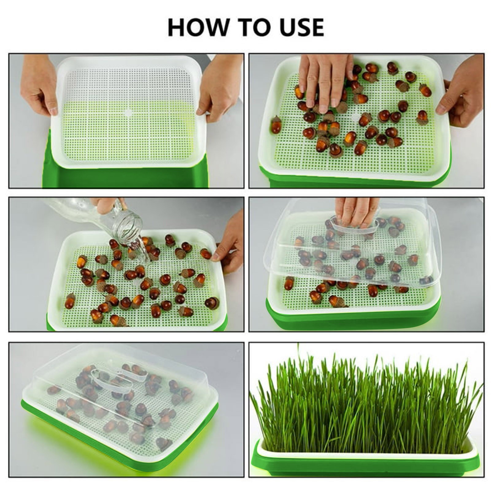 SIfdSeng Germination Trays with Lid Sprouter Tray Trays Hydroponics Growing Seedling Tray with Cover Sprout Seedling Tray Catgrass Wheat Tray Hydroponic Tray On Paper Hole Tray Encrypting 106
