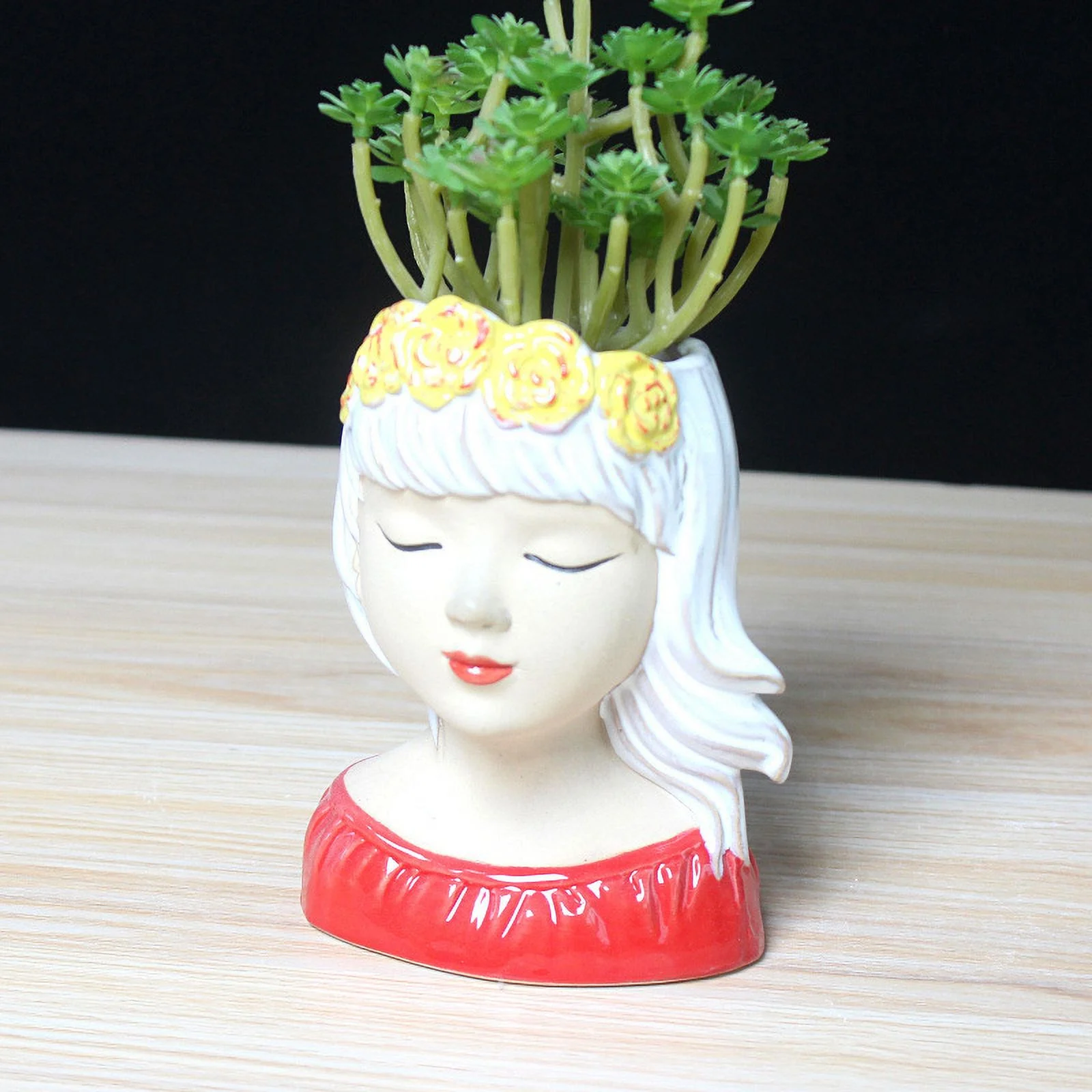 Hand-painted Ceramic Succulent Planter - Emotionally Stable Beauty Flower Pot
