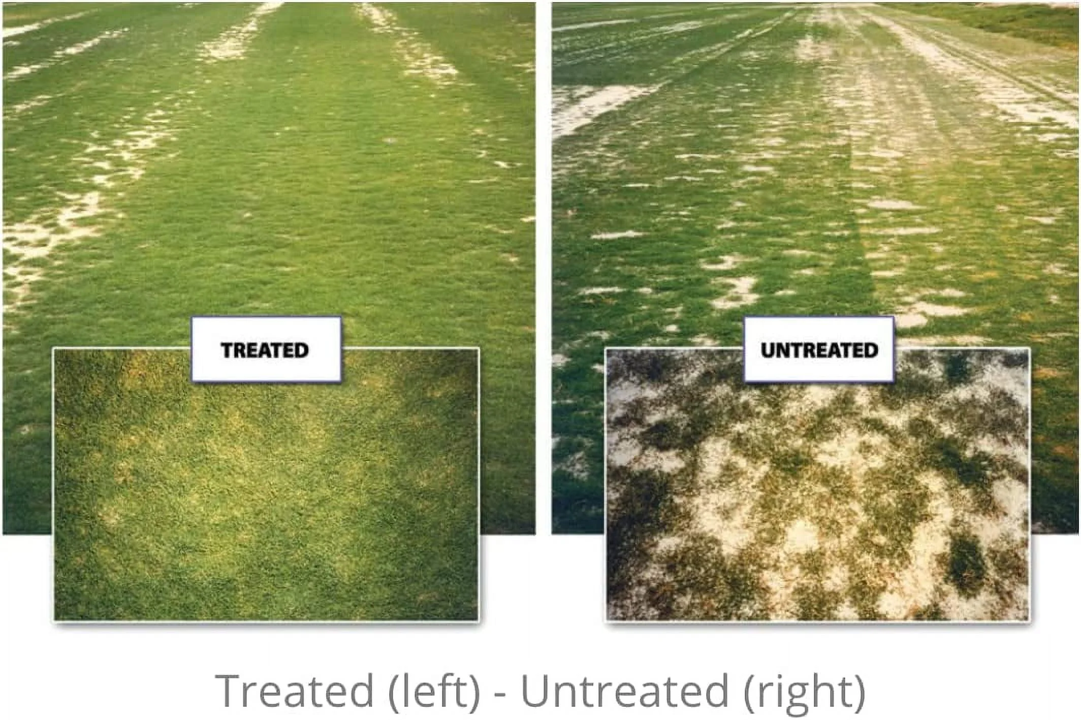 Hydretain Root Zone Moisture Manager 2 Quarts with HoseEnd Sprayer