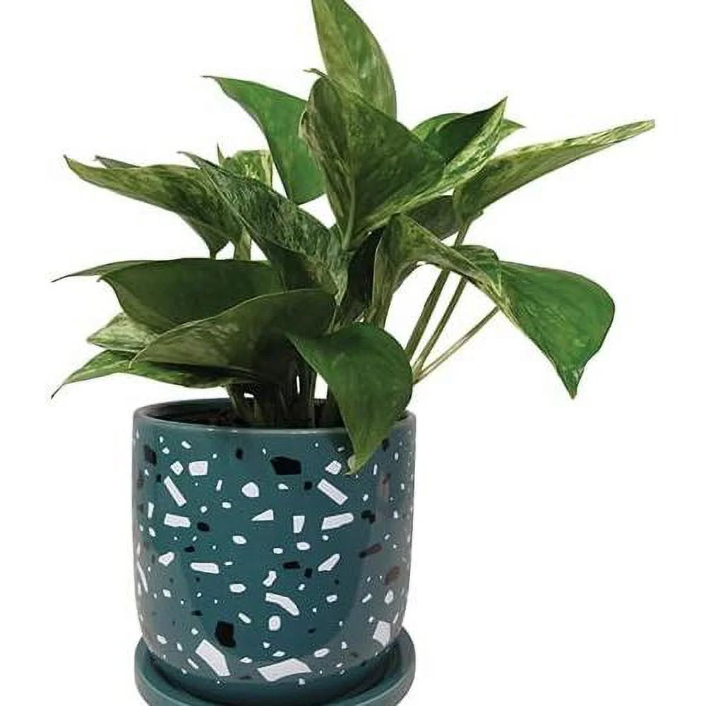 Garden & Home Turquoise 6 Inch Indoor Ceramic Planter With An Attached Saucer And Drainage Hole For All House Plants, Herbs, Flowers, Indoor Succulent Plants, Gifts For Mom
