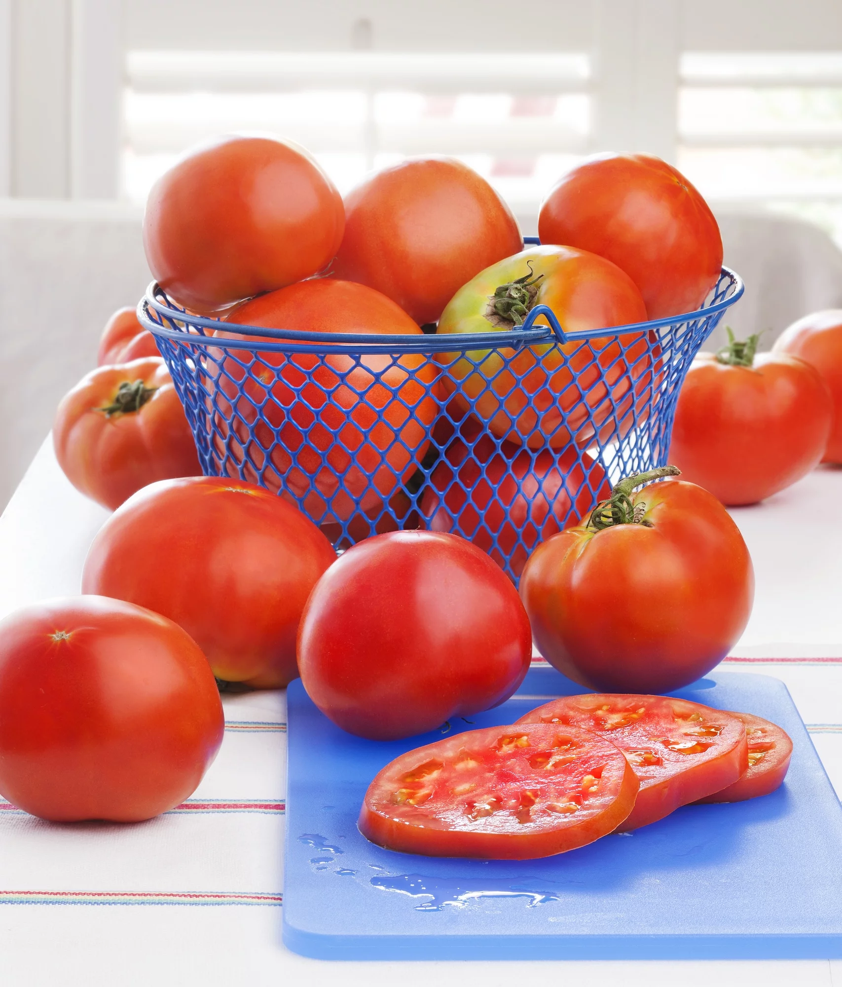 Bonnie Plants Celebrity Tomato 2.32 qt.