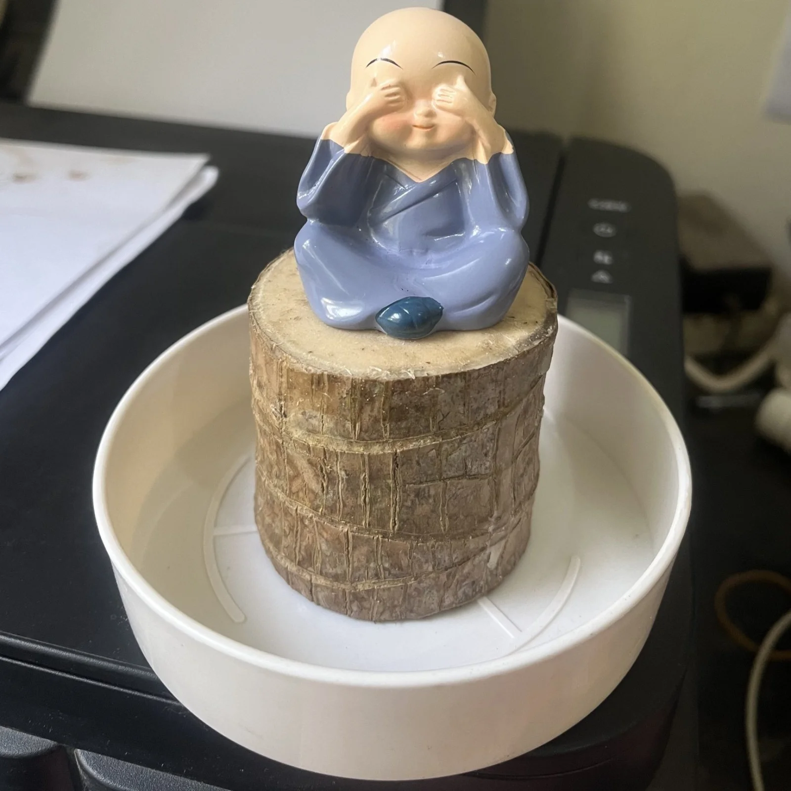 Brazilian Wood,Brazilian Lucky Wood Plant Pot,Brazilian Wood Plant,Large Brazilian Wood Plant,Home Decoration,Brazilian Wood For Sale(Brazilian Wood/Doll And Tray/Potted Plant)