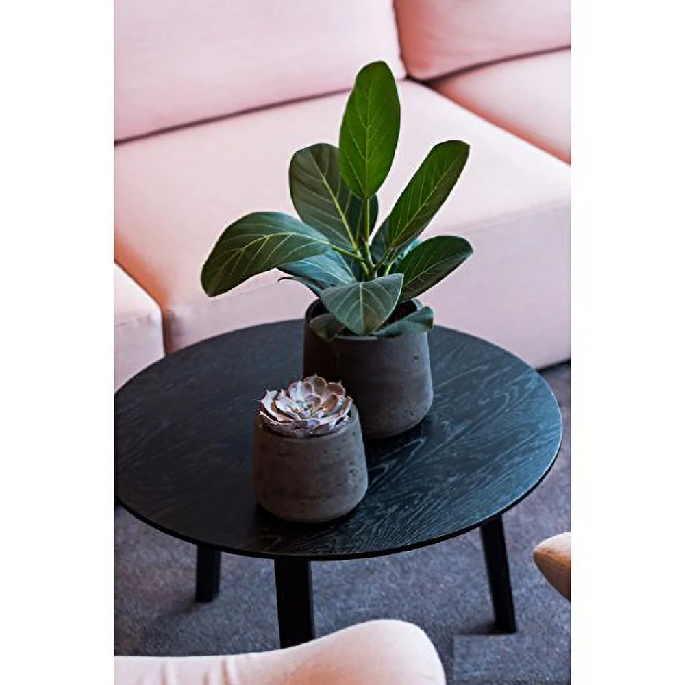 Petite Black Planter 6