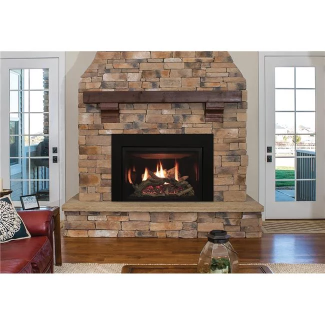 Empire DVCT30CBN95P 30 in. MF Remote Direct Vent Gas Fireplace - Propane