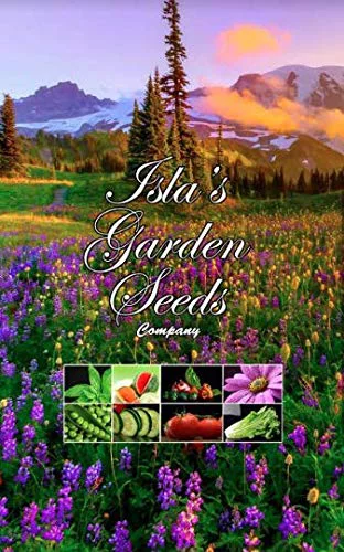 Baby's Breath Flowers, 2000 Heirloom Flower Seeds Per Packet, Non GMO Seeds, Isla's Garden Seeds