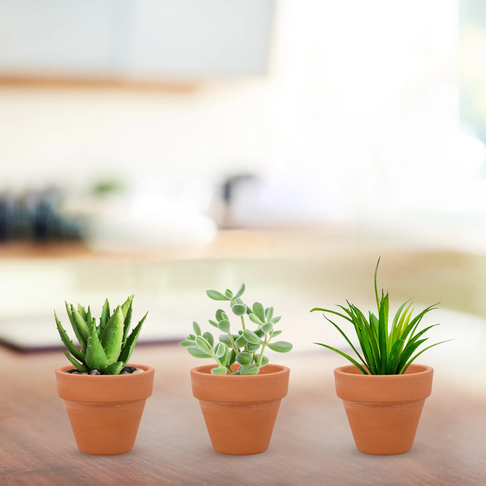 Miniatures for Crafts Decor Terracotta Pot Office 10 Pcs Clay Desktop Succulent Bowl Indoor Plant Pots Vase