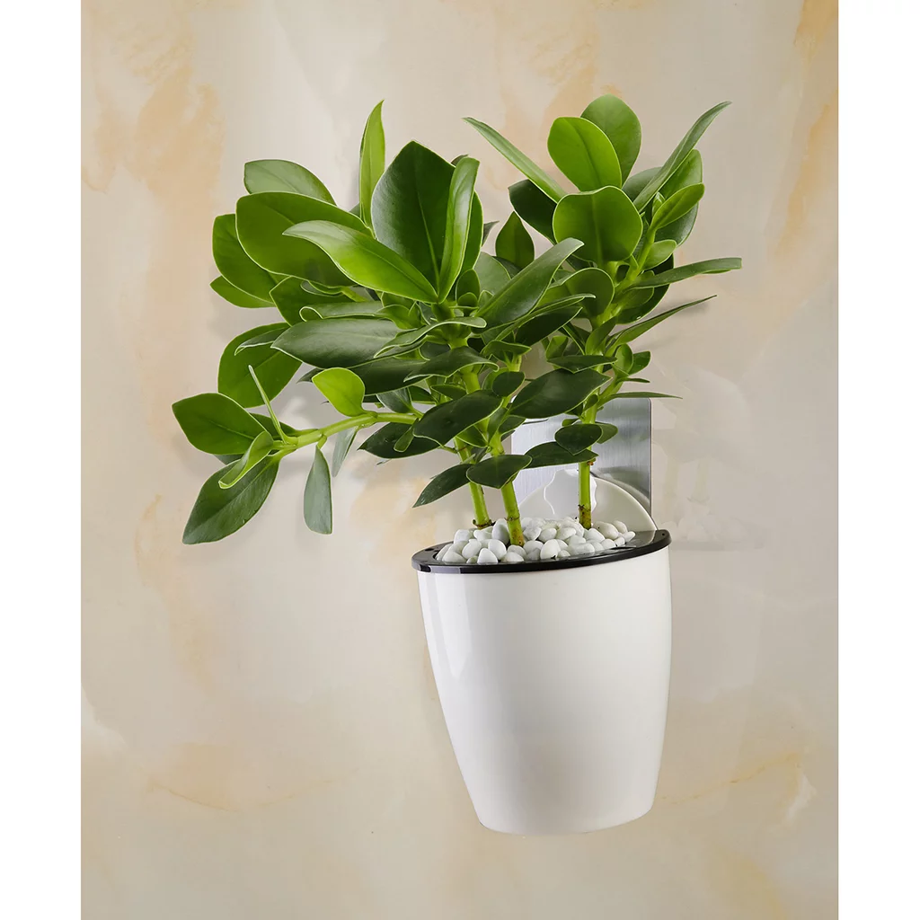 -watering Planters Wall Floating Flower Pots Home Garden Office