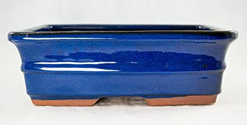 Rectangular Bonsai/Cactus & Succulent Pot 10