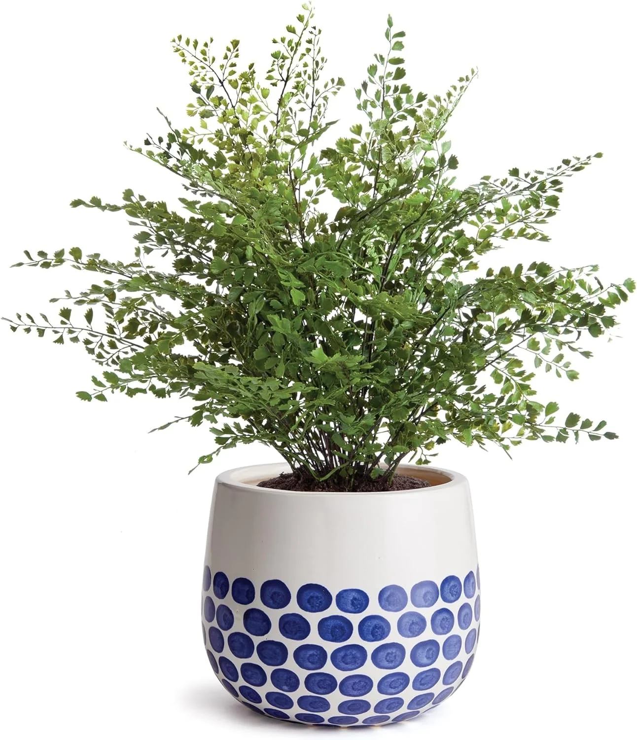 Hand-Painted Pot Small Blue Ceramic